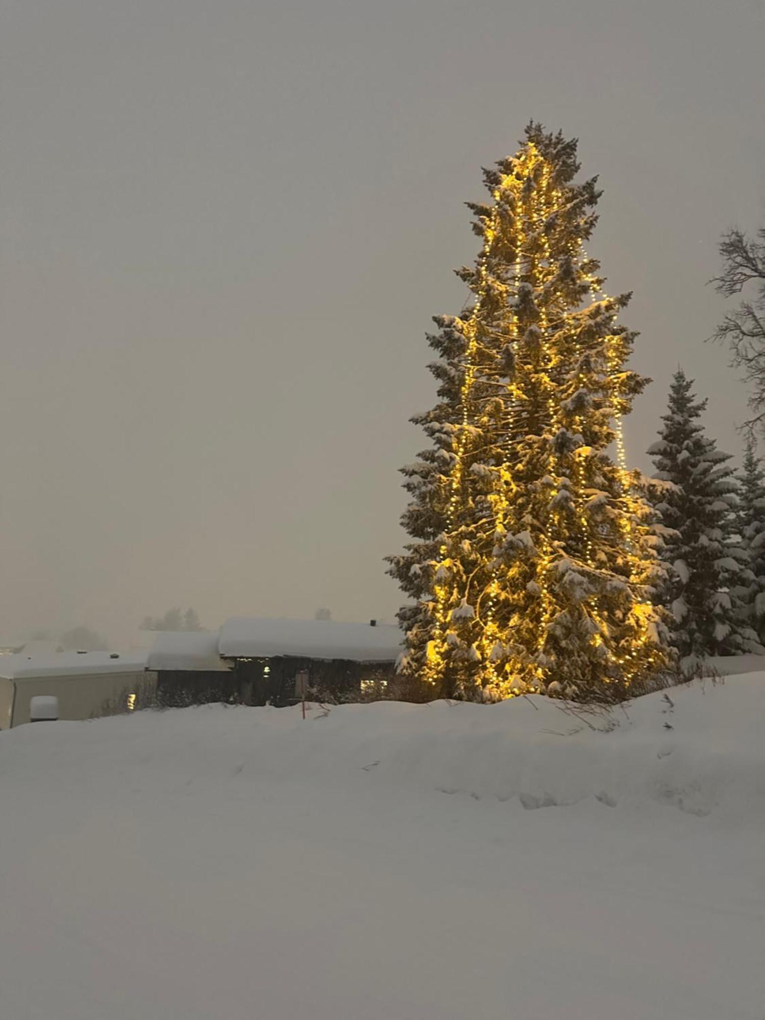 Koselig Byleilighet Sor I Sentrum Av Tromso. Luaran gambar